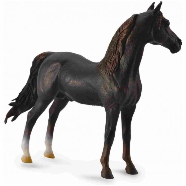 Figurka Collecta Horse Morgan hřebec ryzák (88647)