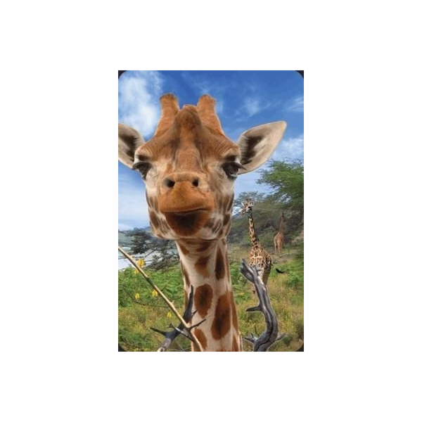 Kartu Mini 3D Žirafa stojí za to ponechat