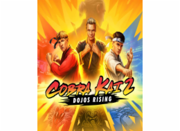 ESD Cobra Kai 2 Dojos Rising