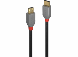 Lindy USB-C - microUSB kabel 1 m černý (36891)