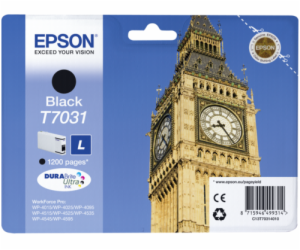 Epson T7031 - originální (C13T70314010) Inkoustová kazeta