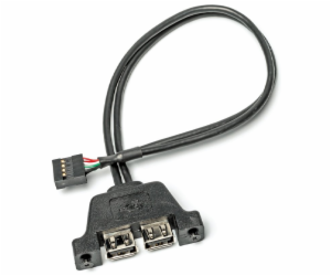 ASRock DESKMINI 2x USB2.0 CABLE