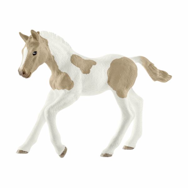 Schleich Horse Club 13886 Paint Horse Foal