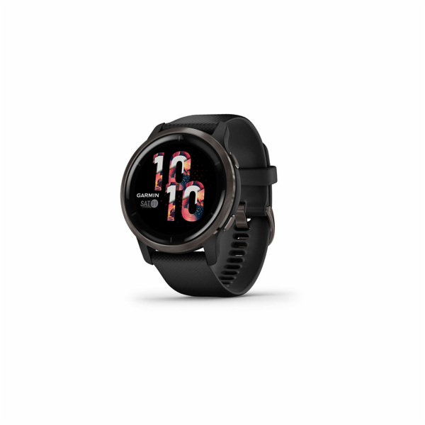 VENU 2 Slate/Black GARMIN