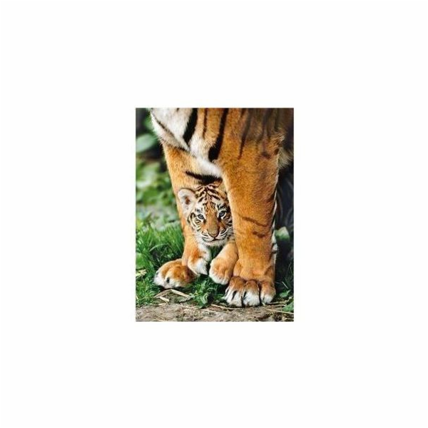 Clementoni Puzzle 500 - Bengálsko Tiger Cub (275476)
