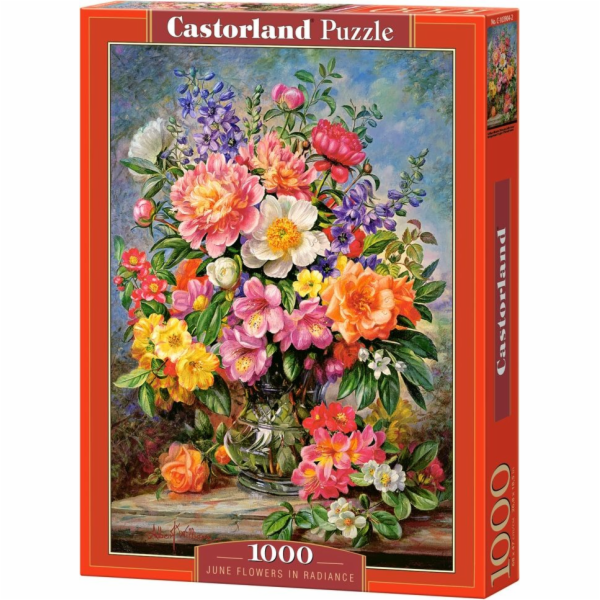 Castorland Puzzle 1000 Bouquet of Flowers