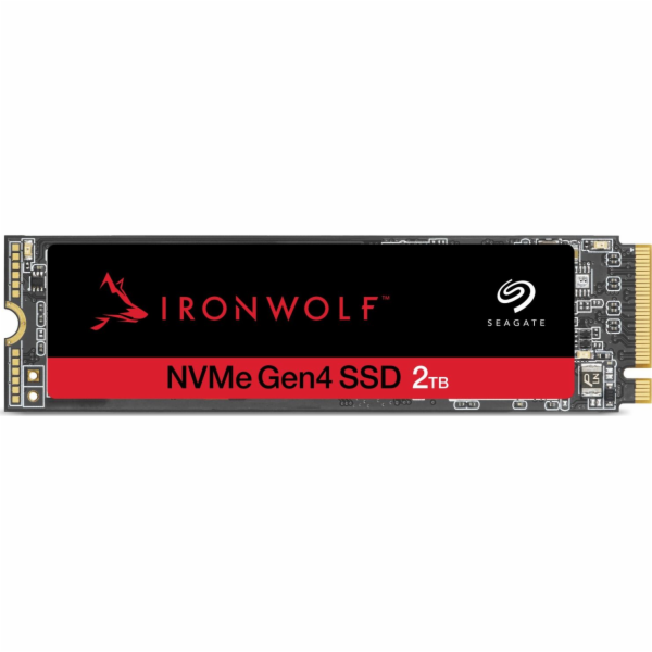 IronWolf 525 2 TB, SSD