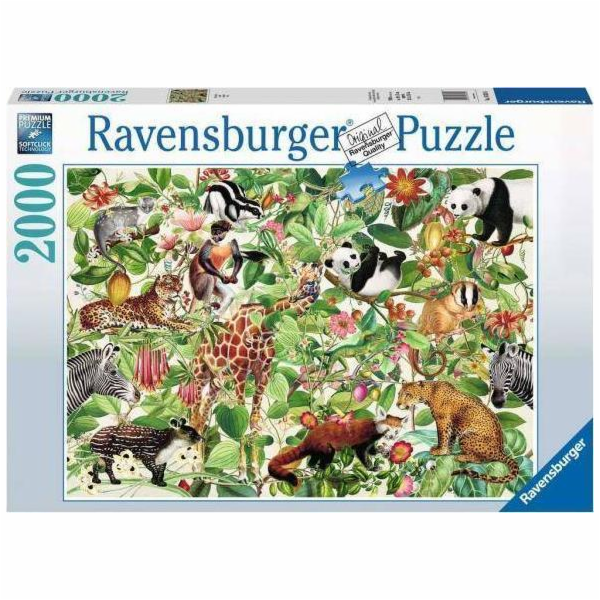 Puzzle 2000 dílků Džungle