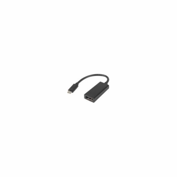 Lanberg AD-UC-DP-01 video cable adapter 0.15 m USB Type-C DisplayPort Black