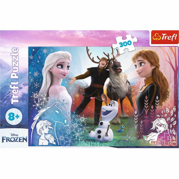 Puzzle 300 dílků Magic Time Frozen 2