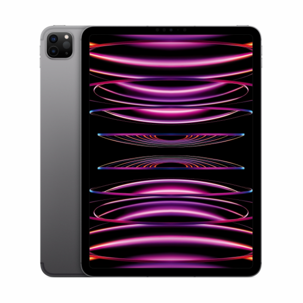 APPLE 11" iPad Pro (4. gen) Wi-Fi + Cellular 256GB - Space Grey