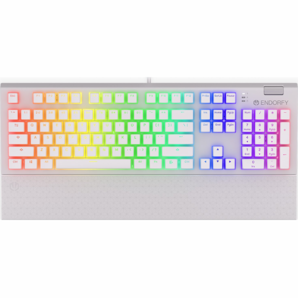 Endorfy herní klávesnice Omnis OWH Pudd.Kailh BL RGB / USB / blue switch / drátová /mechanická/US layout/bílá RGB