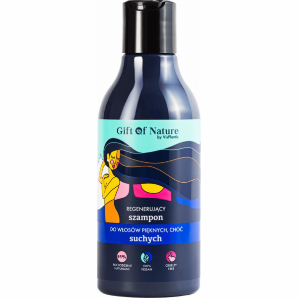 Dárek přírody suchý vlasový šampon 300 ml
