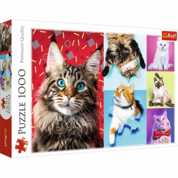 Puzzle 1000 dílků Veselé kočky