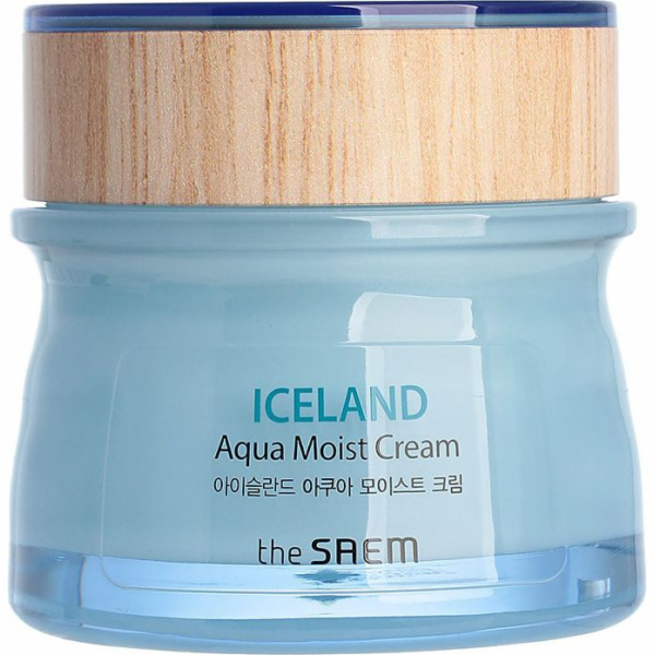 SAEM Iceland Aqua Moist Cream hydratační krém na obličej 60ml