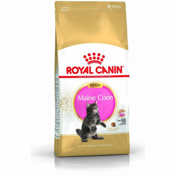 Royal Canin Maine Coon Kitten cats dry