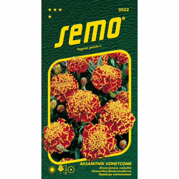 Semeno Aksamitník rozkladitý Honeycomb (Super Hero Orange Flam