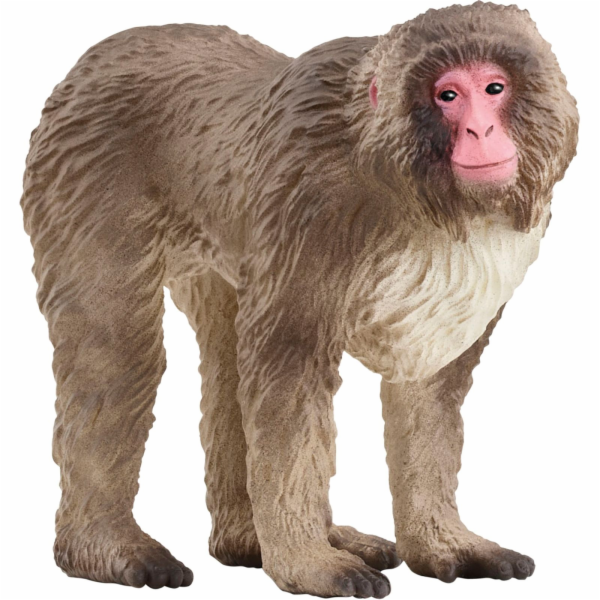 Schleich Wild Life Japonský makak, hračka