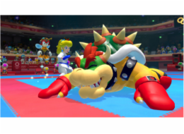 Nintendo Mario & Sonic bei den Olympischen Spielen: Tokyo 2020, Nintendo Switch