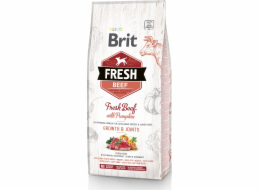 Brit Fresh Beef & Pumpkin Puppy Large Growth & Joints 12kg