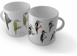 Solonon Cup of Woodpeckers