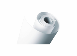 Epson Photo Paper Gloss 250 g 61 cm (24 ) x 30,5 m    S 041893