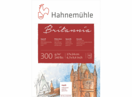 Hahnemühle Britannia Watercolour cold pressed 17x24cm 300g 12 sh.