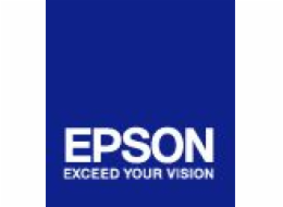 Epson T603 Light light black 220 ml