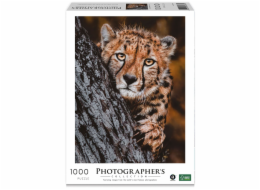 Ambassador Cheetah 1000 Pieces (Donal Boyd)