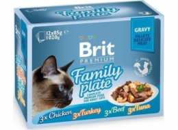 BRIT Premium Cat Pouch Gravy Fillet Fam