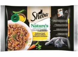 SHEBA sachets in sauce Nature s Collect
