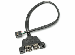 ASRock DESKMINI 2x USB2.0 CABLE