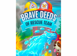 ESD Brave Deeds of Rescue Team