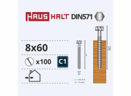 Vruty do dřeva Haushalt, DIN571, 8,0 x 60 mm, ZN, 100 ks.