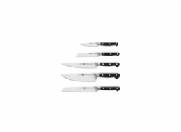 Set of 5 knives in a Zwilling Pro magnetic block