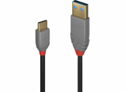Lindy USB-A - USB-C USB kabel 2 m černý (36887)