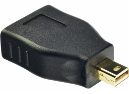 Lindy DisplayPort Mini - DisplayPort AV adaptér černý (41077)