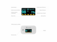 10024031