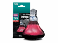 10077691