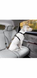 Kurgo® Bezpečnostní pás pro psa do auta Direct to Seatbelt Tether oranžový