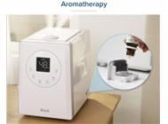 10217634