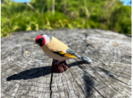 10233619