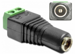Delock - Adaptér napájení - svorkovnice se 2 piny (F) do DC jack 5,5 x 2,5 mm (F)