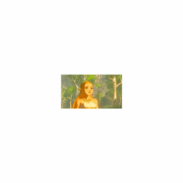 HRA SWITCH Lege. of Zelda Breath of Wild