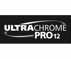 Singlepack Yellow T44J440 UltraChrome PRO 12 700ml