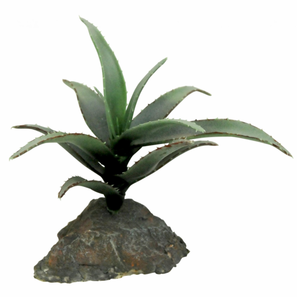 Lucky Reptile-Sukulenty Cactus 3x, cca 15 cm