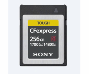 Sony CFexpress/CF/256GB