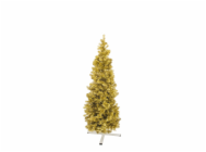 4519796