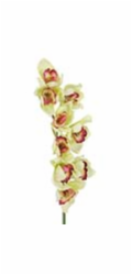 Orchidej větvička, zelená, 90 cm