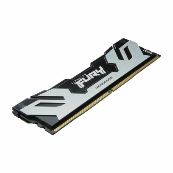 Kingston FURY Renegade Silver - DDR5 - modul - 16 GB - DI...